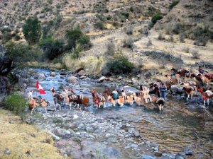 river crossing